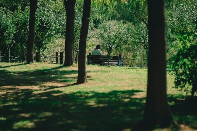 Dying Before You Die: The Art of Accepting Mortality