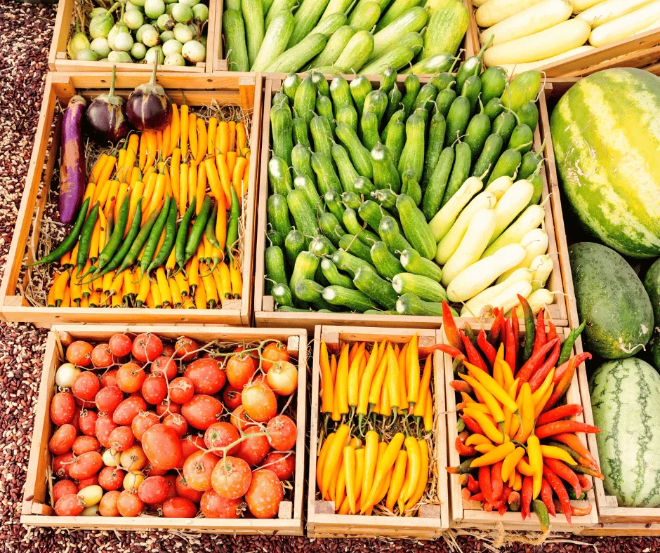 Why Your Wellness Retreat Should Include Regenerative Farming