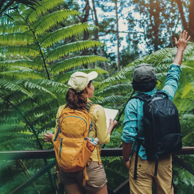 Explore, Learn, and Grow at Your Own Pace