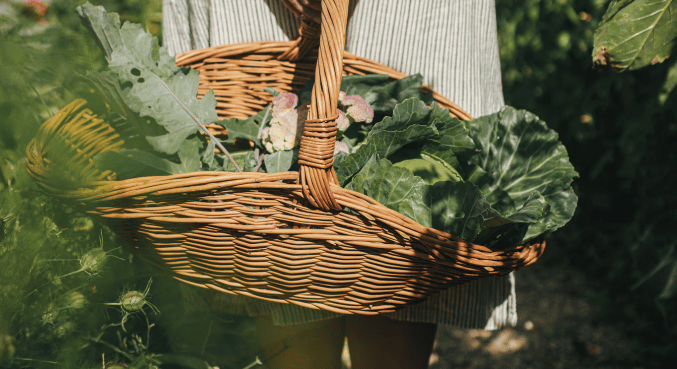 Permaculture: Energy & Resource Management - Part 2