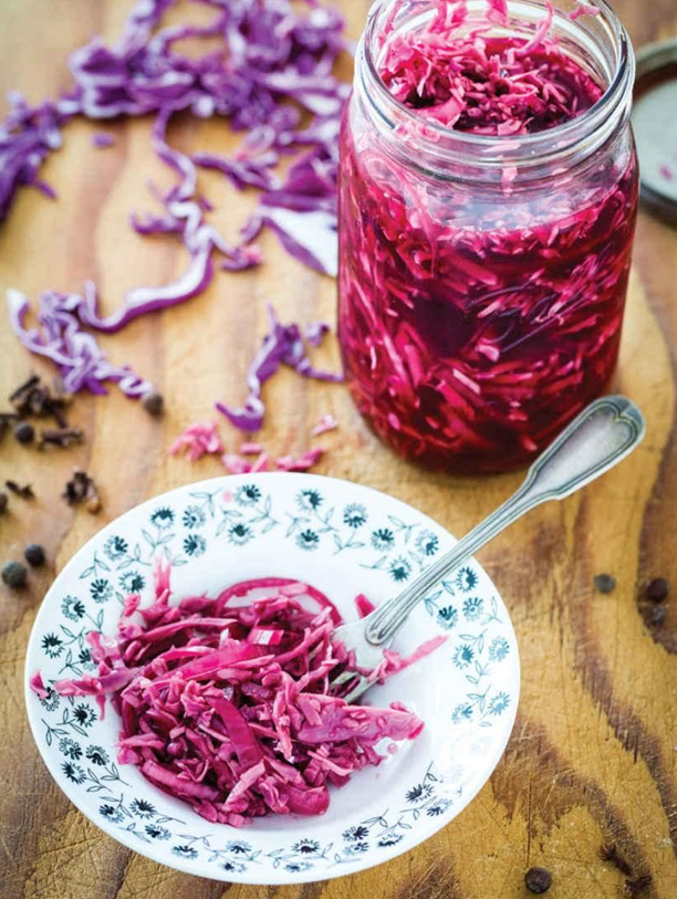 Pickled Red Cabbage & Onion Relish